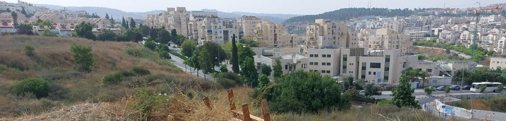 View of buildings of Beit Shemesh from grass swept hill.